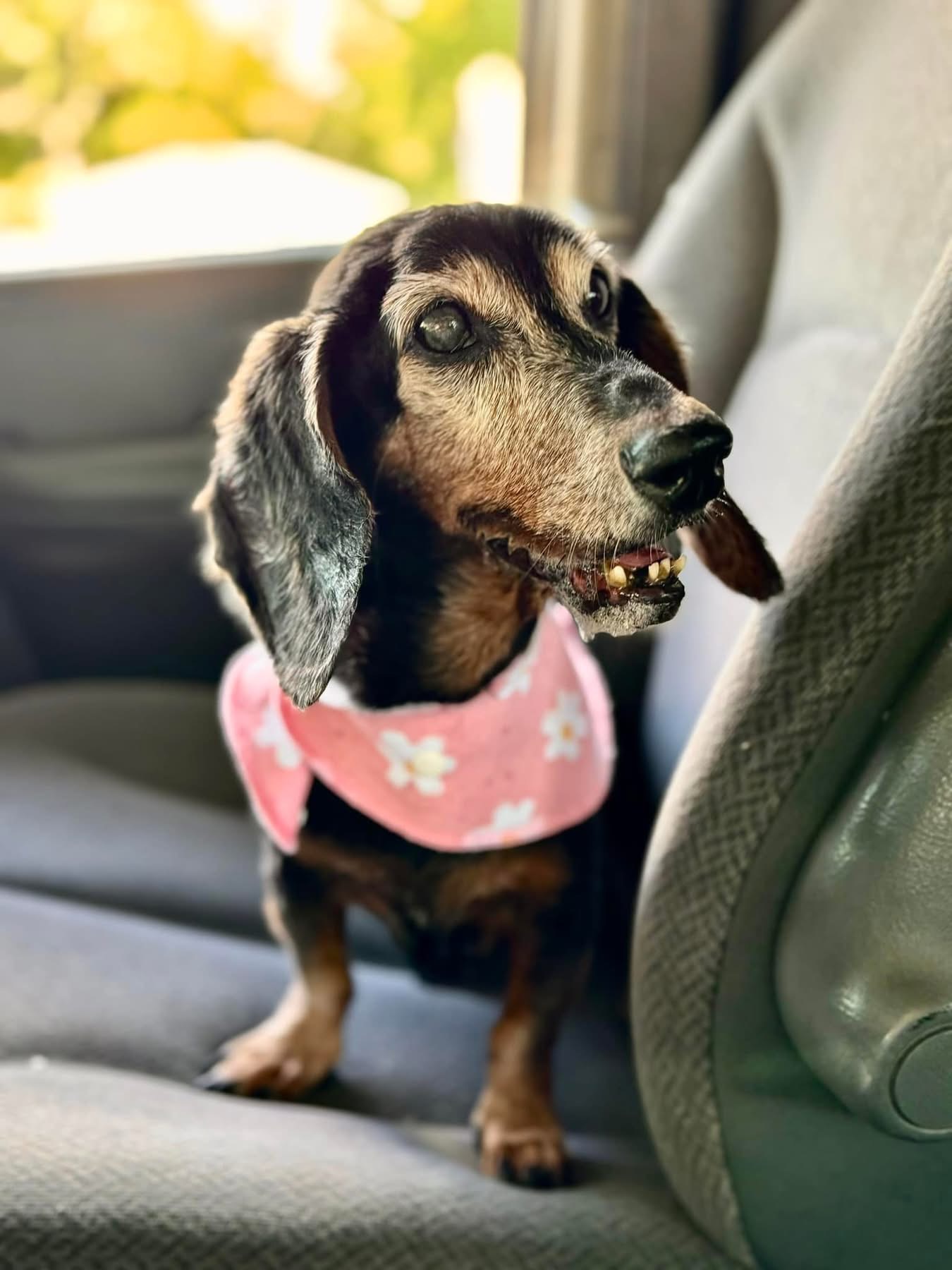 A Second Chance For Edith