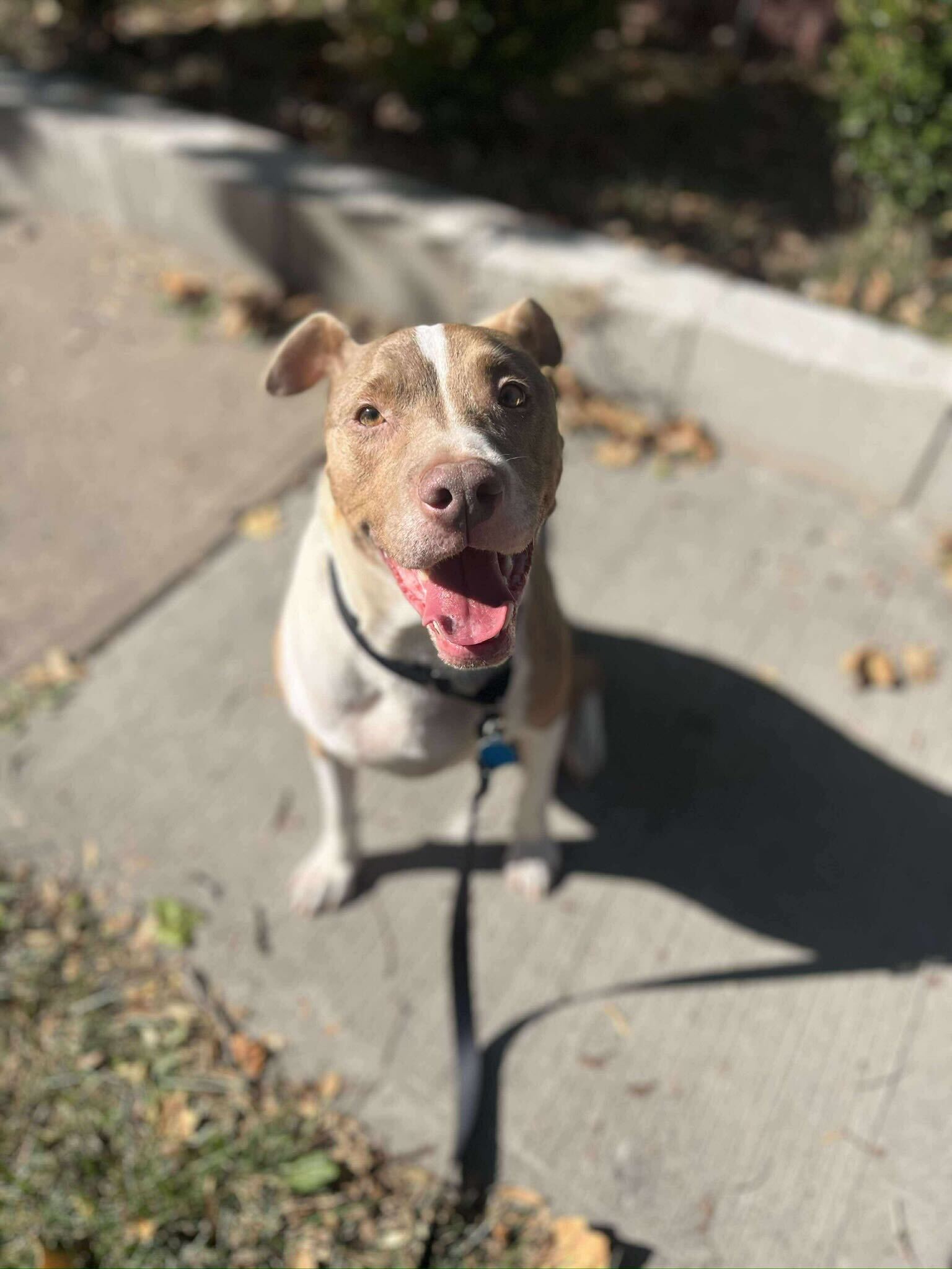 A Second Chance For Sinny